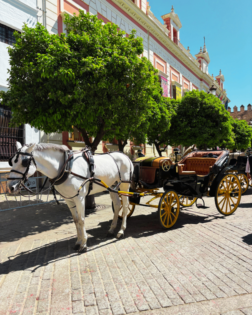 Barrio santa cruz Siviglia con bambini