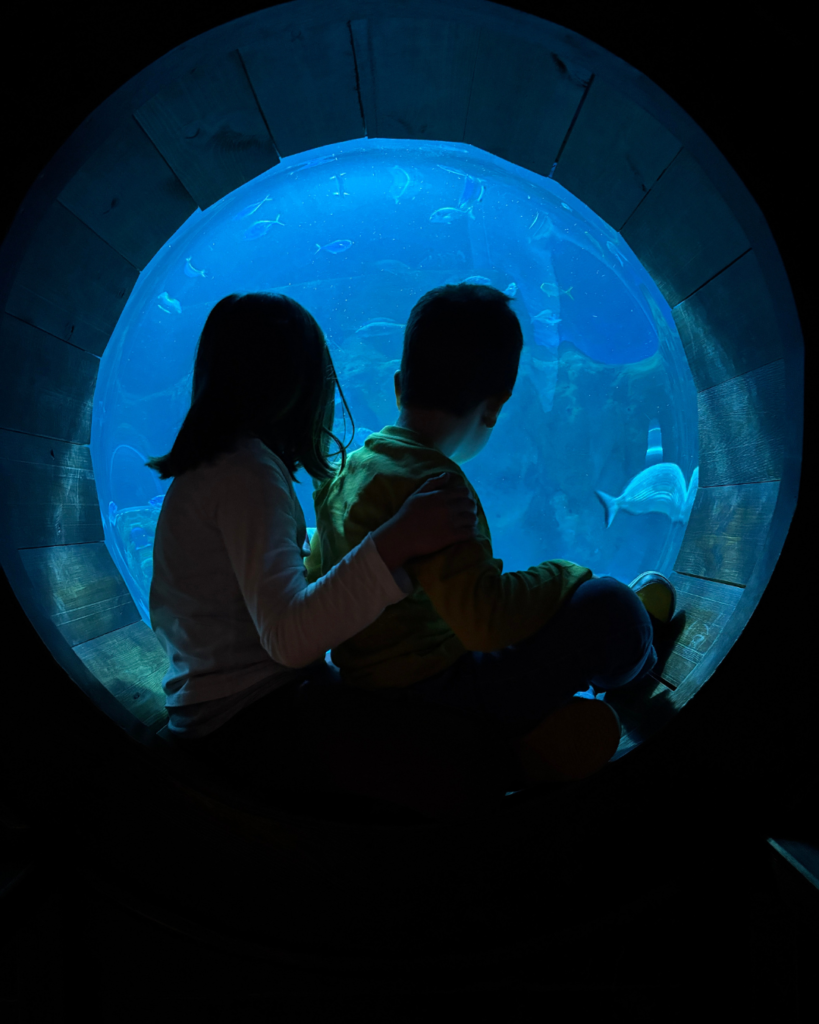 acquario di siviglia Cosa fare a Siviglia con bambini