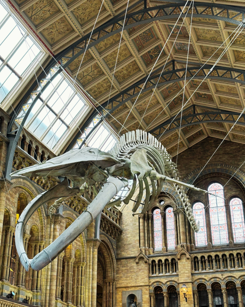 Natural History Museum Londra e scienza