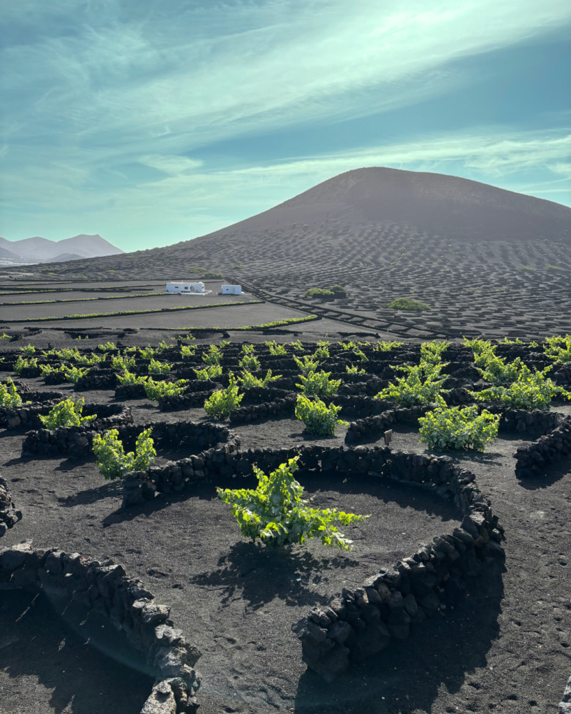 la geria Lanzarote con bambini