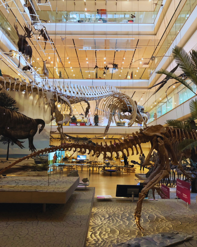 musei per bambini in Italia