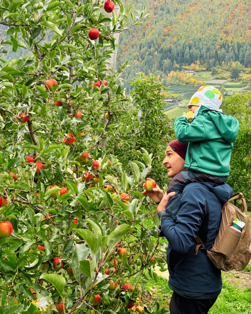 Mela colgo Val di Non con bambini