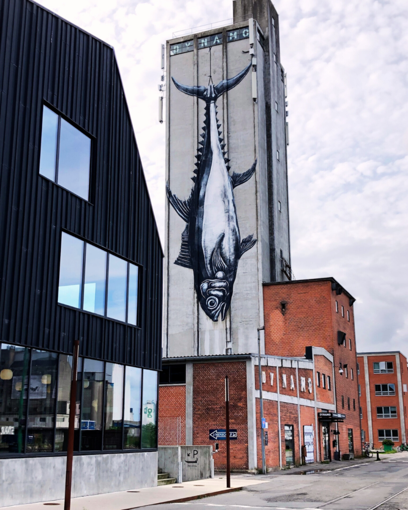 Porto Odense Danimarca con bambini