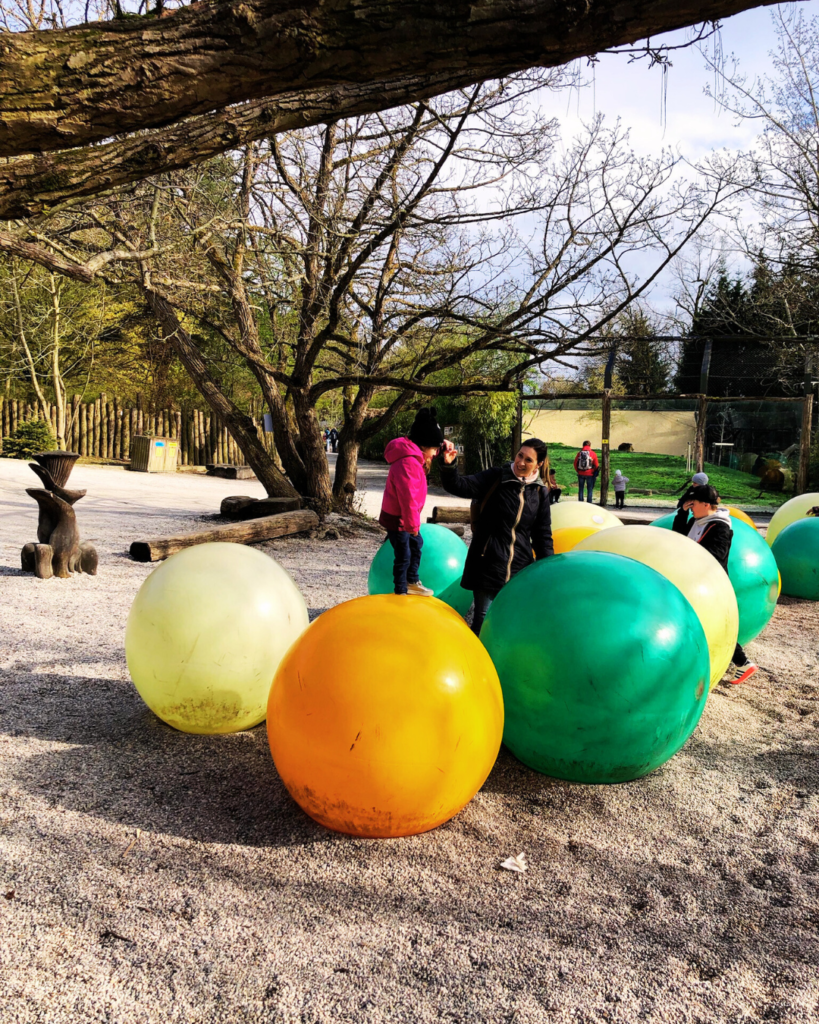 zoo Lubiana con bambini