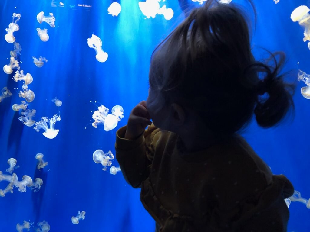 acquario Genova con bambini