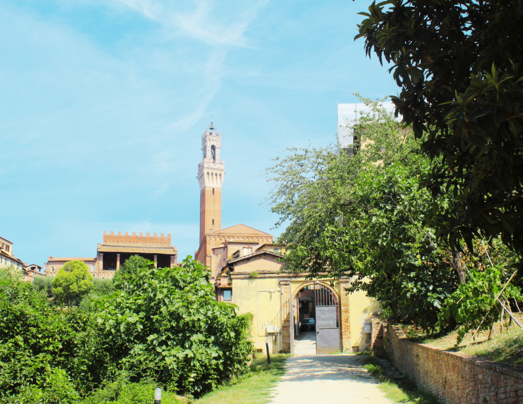 Fattorie in Toscana con bambini Orto de Pecci